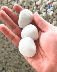 SNOW WHITE PEBBLE STONE
