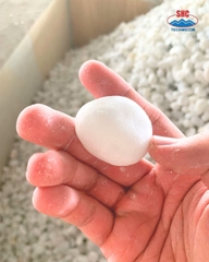 SNOW WHITE PEBBLE STONE
