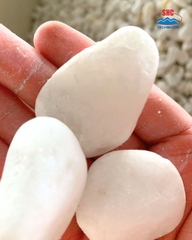 SNOW WHITE PEBBLE STONE