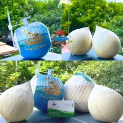 Fresh Young Coconut