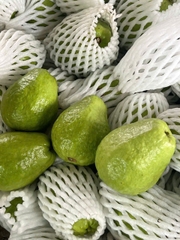 Guava