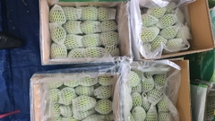 Guava
