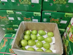 Guava