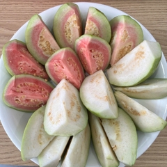 Guava