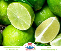 Seedless Lime