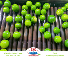 Seedless Lime