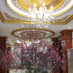 Phào chỉ tạo nét sang trọng và nổi bật cho ngôi nhà bạn