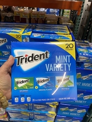 Kẹo Chewing Gum Trident Mint Variety (mua hộ)