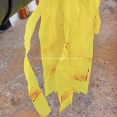 Liên Sư Hàng Ma Bảo Ấn