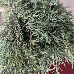 Cành Bách Tươi – Hương Cúng Sang, Hỏa Cúng