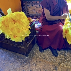 Liên Sư Hàng Ma Bảo Ấn