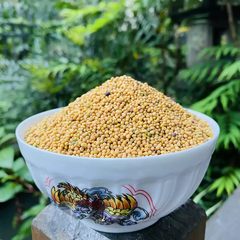 Bạch Giới Tử – Vật Phẩm Kết Duyên Pháp Hội Hộ Pháp Đầu Hươu – Trừ Chướng