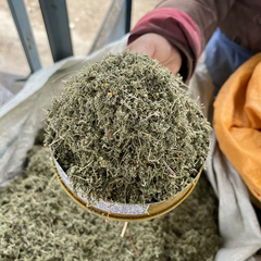 Thảo dược núi Vượng Ba Nhật Tây Tạng - cỏ Ganden