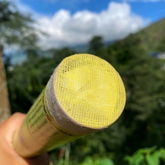 Hương cúng dường chư Phật Bồ Tát – Lhendup Poizokhang (Bhutan)