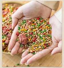 Lúa mạch Tây Tạng (Tsampa)