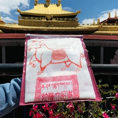 Khăn Khata lụa Tây Tạng Đại Chiêu Tự Lhasa – Khata cát tường cao cấp, màu trắng hoặc vàng, kích thước lớn, sản phẩm của người Tạng