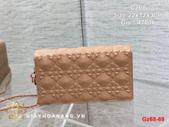 Gz68-69 Dior túi size 22cm siêu cấp