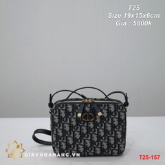 T25-157 Dior túi size 19cm siêu cấp