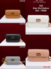 T25-165 Dior túi size 22cm siêu cấp