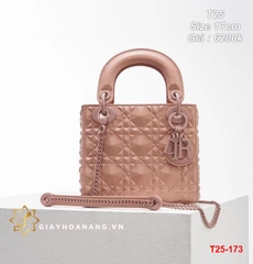 T25-173 Dior túi size 17cm siêu cấp