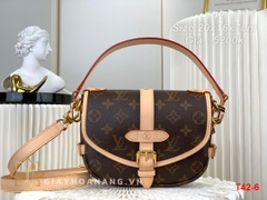 T42-6 Louis Vuitton túi size 20cm siêu cấp