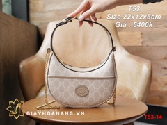 T53-14 Gucci túi size 22cm siêu cấp