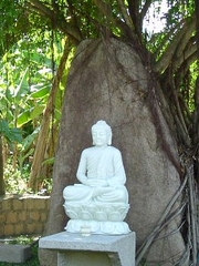 Tượng phật thích ca 12