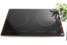 Bếp từ Lorca TA-1006C