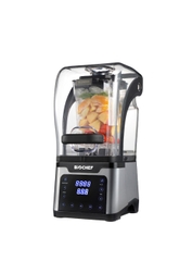 Máy xay sinh tố Biochef Big 2