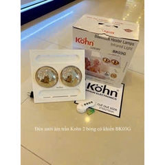 Đèn Sưởi Nhà Tắm 2 Bóng Braun Kohn BK02GR 550W