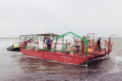 artemia, nhập khẩu artemia, ấp artemia