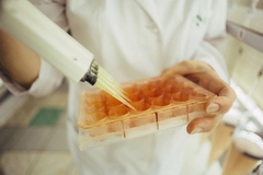 artemia, nhập khẩu artemia, ấp artemia