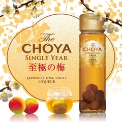 Rượu mơ vàng Choya Single Year 650ml có quả mơ