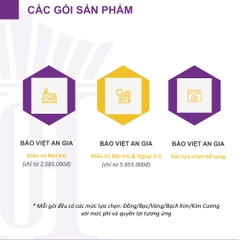 Bảo hiểm Sức khỏe Bảo Việt An Gia - Lựa chọn bổ sung: Thai sản, Nha khoa, Tai nạn, Sinh mạng / Health Insurance