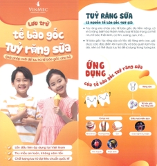 Lưu trữ Tế bào gốc - Tủy răng sữa / Vinmec