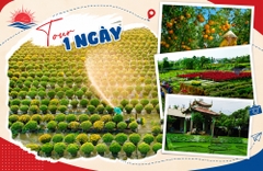 TOUR MIỀN TÂY ĐỒNG THÁP - LÀNG HOA SA ĐÉC- HAPPY LAND HÙNG THY - VƯỜN QUÝT HỒNG LAI VUNG - CHÙA LÁ SEN 1 NGÀY