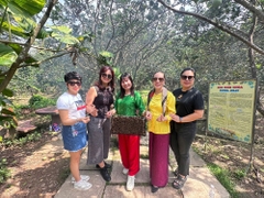 TOUR THAM QUAN MỸ THO - VƯỜN TRÁI CÂY -  BẾN TRE 1 NGÀY GIÁ RẺ