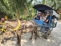 TOUR THAM QUAN MỸ THO - VƯỜN TRÁI CÂY -  BẾN TRE 1 NGÀY GIÁ RẺ