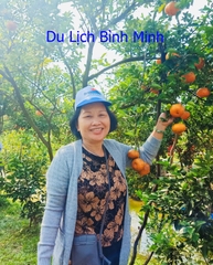 TOUR MIỀN TÂY ĐỒNG THÁP - LÀNG HOA SA ĐÉC- HAPPY LAND HÙNG THY - VƯỜN QUÝT HỒNG LAI VUNG - CHÙA LÁ SEN 1 NGÀY