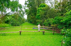 Tour Miền Tây 2N1Đ: Khám Phá Mỹ Tho - Cần Thơ | Trải Nghiệm Sông Nước Độc Đáo