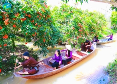TOUR SÀI GÒN - CẦN THƠ 1 NGÀY. TỰ HÁI TRÁI CÂY TẠI VƯỜN
