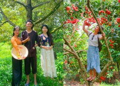 TOUR CITY CẦN THƠ 1 NGÀY KHỞI HÀNH HÀNG NGÀY