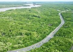 TOUR THAM QUAN ĐẢO KHỈ CẦN GIỜ 1 NGÀY