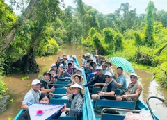 TOUR CẦN THƠ - CHÂU ĐỐC - MIẾU BÀ CHÚA XỨ - RỪNG TRÀ SƯ 1 NGÀY
