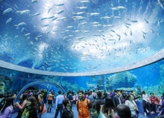 NHA TRANG - VINPEARL HARBOUR 3N3D