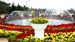 TOUR HÀNG NGÀY 29: THAM QUAN ĐÀ LẠT CÁC THẮNG CẢNH - 4 NGÀY 3 ĐÊM.