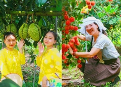TOUR SÀI GÒN - CẦN THƠ 1 NGÀY. TỰ HÁI TRÁI CÂY TẠI VƯỜN