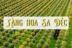 TOUR MIỀN TÂY ĐỒNG THÁP - LÀNG HOA SA ĐÉC- HAPPY LAND HÙNG THY - VƯỜN QUÝT HỒNG LAI VUNG - CHÙA LÁ SEN 1 NGÀY