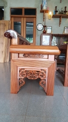 TRƯỜNG KỶ SEN VỊT VIP