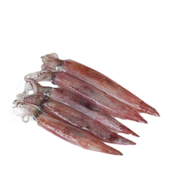 Mực ống